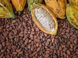 Editorial: Cocoa Price Hike — Promise Kept or Promise Broken?