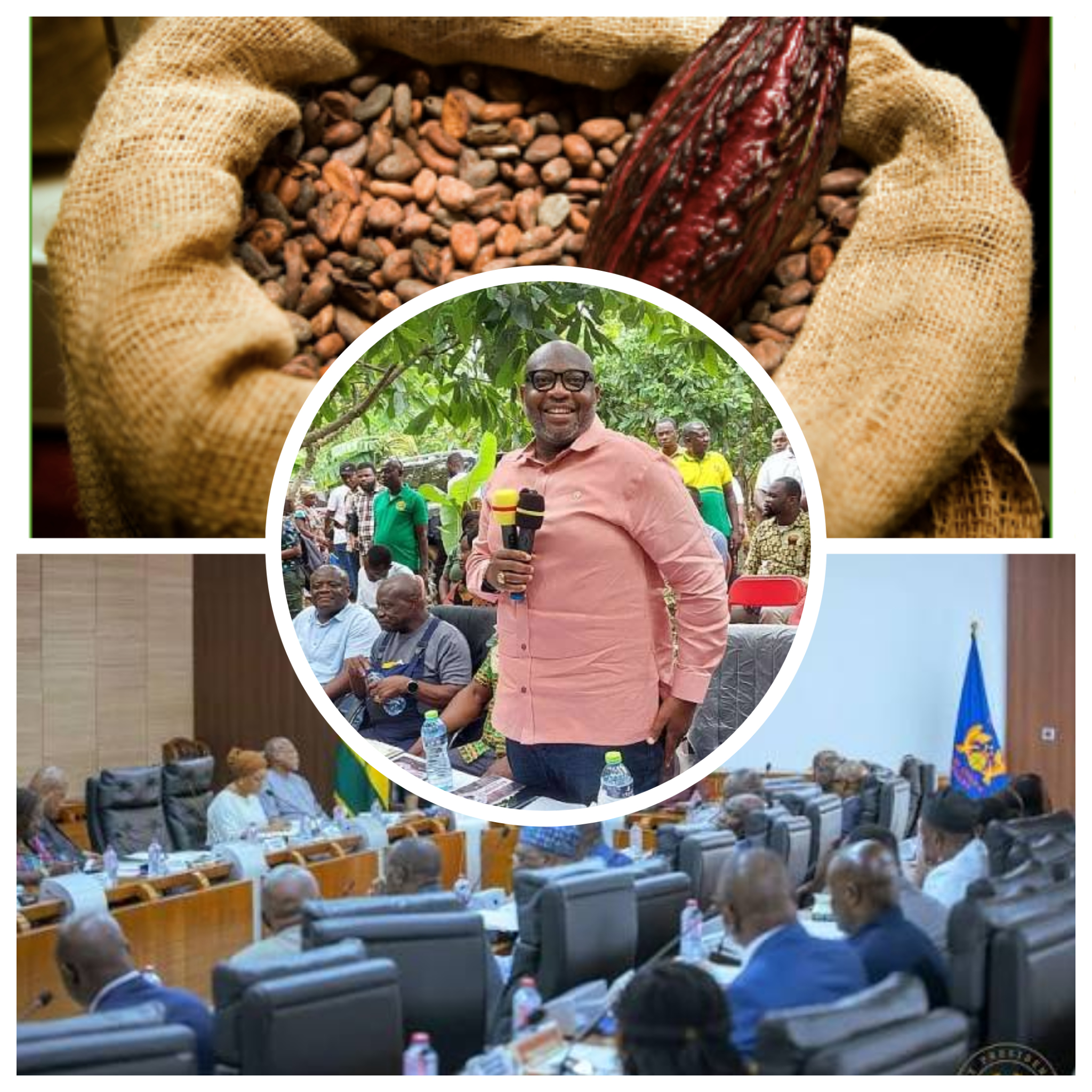 Mahama Convenes Emergency Cabinet Meeting Over Deepening Cocoa Sector Crisis